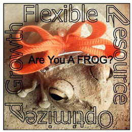 ARE YOU A FROG? FLEXIBLE RESOURCE OPTIMIZED GROWTH