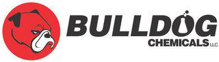 BULLDOG CHEMICALS LLC