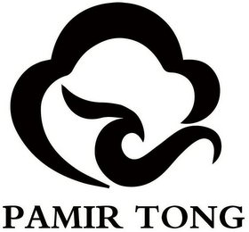 PAMIR TONG