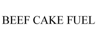 BEEF CAKE FUEL