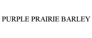 PURPLE PRAIRIE BARLEY