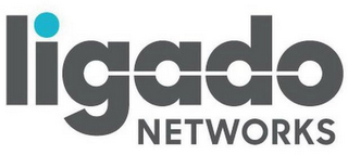 LIGADO NETWORKS