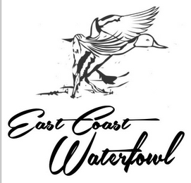 EAST COAST WATERFOWL