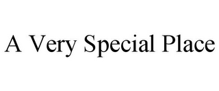 A VERY SPECIAL PLACE