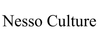 NESSO CULTURE