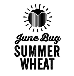 JUNE BUG SUMMER WHEAT