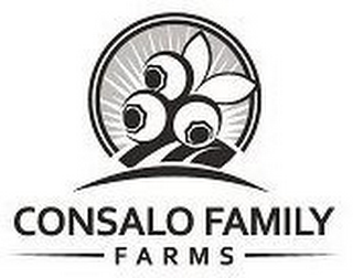 CONSALO FAMILY FARMS