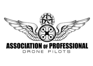 ASSOCIATION OF PROFESSIONAL DRONE PILOTS