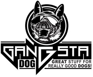 GANGSTA DOG GREAT STUFF FOR REALLY GOOD DOGS!