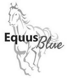 EQUUS BLUE