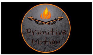 PRIMITIVE MOTION