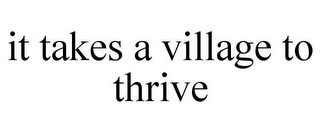 IT TAKES A VILLAGE TO THRIVE