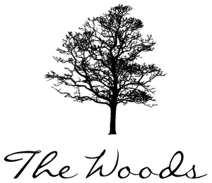 THE WOODS