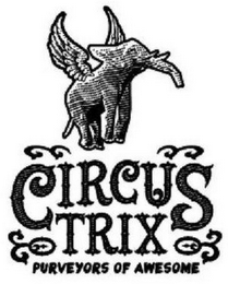 CIRCUS TRIX PURVEYORS OF AWESOME