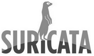 SURICATA