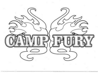 CAMP FURY