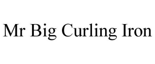 MR BIG CURLING IRON