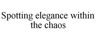 SPOTTING ELEGANCE WITHIN THE CHAOS