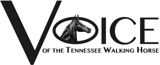 VOICE OF THE TENNESSEE WALKING HORSE