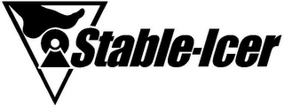 STABLE-ICER