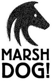 MARSH DOG !