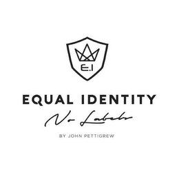 E. I EQUAL IDENTITY BY JOHN PETTIGREW NO LABELS