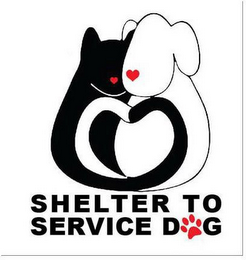 SHELTER TO SERVICE DOG