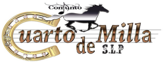 CONJUNTO CUARTO DE MILLA S.L.P