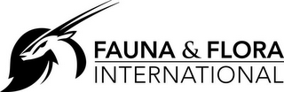 FAUNA & FLORA INTERNATIONAL