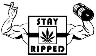 STAY RIPPED