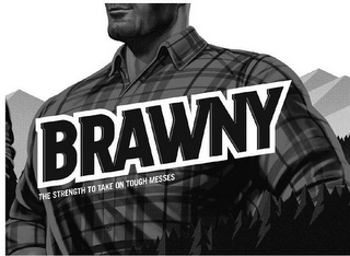 BRAWNY THE STRENGTH TO TAKE ON TOUGH MESSES