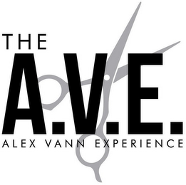 THE A.V.E. ALEX VANN EXPERIENCE