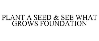 PLANT A SEED & SEE WHAT GROWS FOUNDATION