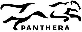 PANTHERA