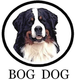 BOG DOG