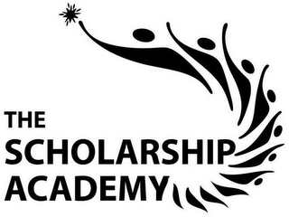 THE SCHOLARSHIP ACADEMY