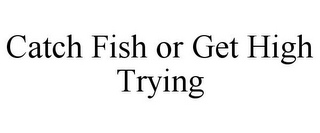 CATCH FISH OR GET HIGH TRYING