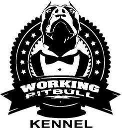 WORKING PITBULL KENNEL