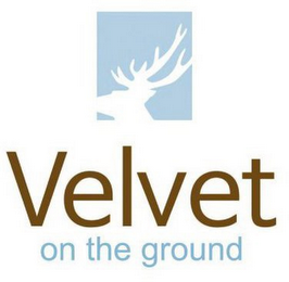 VELVET ON THE GROUND