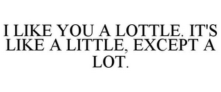I LIKE YOU A LOTTLE. IT'S LIKE A LITTLE, EXCEPT A LOT.