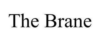 THE BRANE