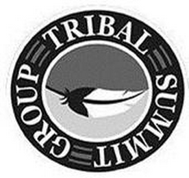 TRIBAL SUMMIT GROUP