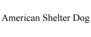 AMERICAN SHELTER DOG