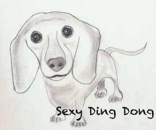 SEXY DING DONG