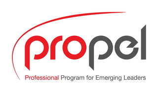 PROPEL PROFESSIONAL PROGRAM FOR EMERGING LEADERS