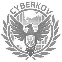 CYBERKOV