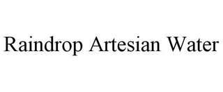 RAINDROP ARTESIAN WATER