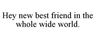 HEY NEW BEST FRIEND IN THE WHOLE WIDE WORLD.