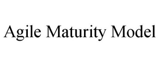 AGILE MATURITY MODEL