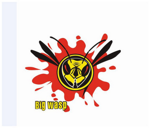 BIGWASP